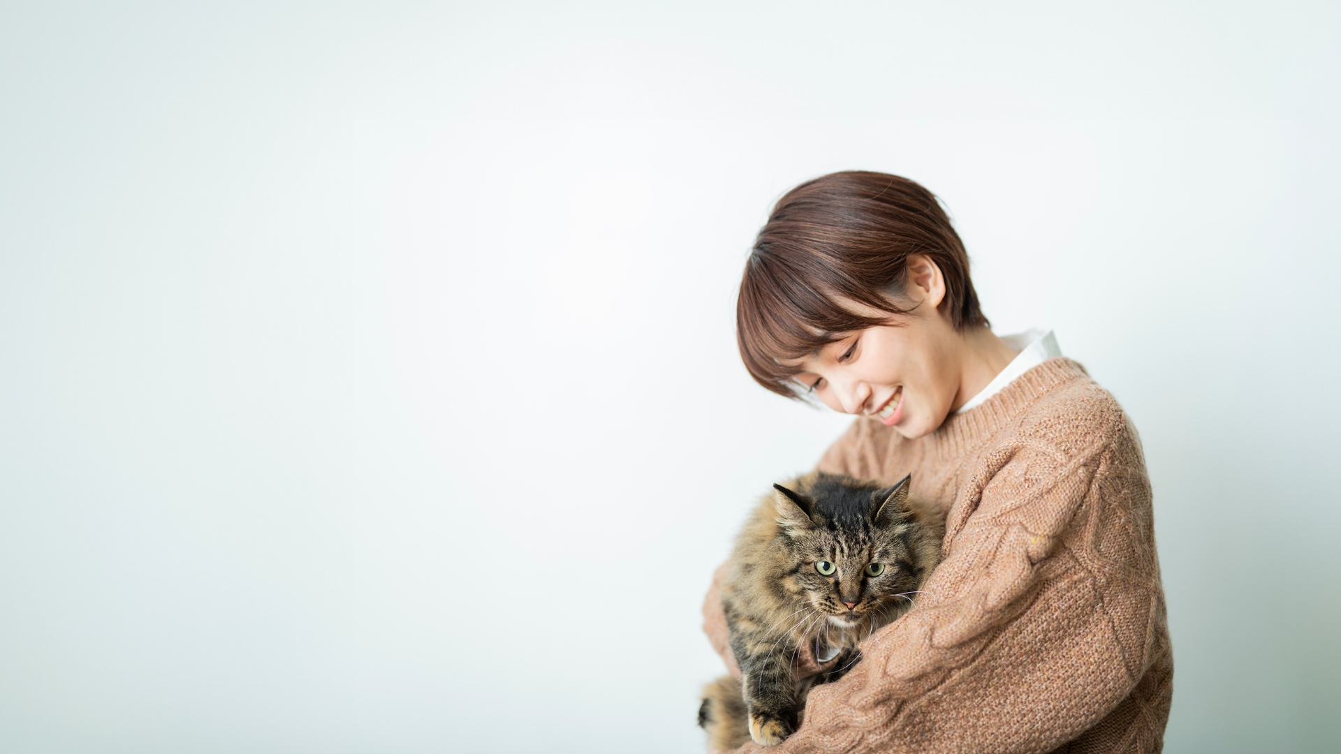 建築家×猫の注文住宅